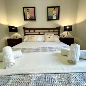 Gatu Premium Amaro Cádiz